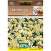 Sicignano Casalinghi Ingrosso Casalinghi Sicignano | Semi Camomilla, Pianta Aromatica Annuale con Proprietà Calmanti Distensive Diuretiche, Busta Extra - 4 Confezioni da 0.6g, Adatta a Pieno Sole