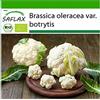 SAFLAX - BIO - Cavolfiore - Palla di neve - 70 semi - Brassica oleracea var. botrytis