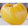 Generic 25 Semi di Pomodoro Giallo Cuor di Bue: Granella