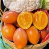 Generic 120 pz semi di tamarillo, pomodoro esotiche rialzate per giardino balcone