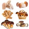 Generic semi di funghi porcini di alta qualità ombra resistenti Boleto balcone varietà perenne antiche montagna 400pcs