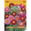 Sementi Dotto Semi di PIRETRO in Mix - h cm 75