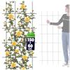 Kadax Rank Grille, traliccio giardino, piante, balcone, terrazza, traliccio di metallo, di rango, griglia da arrampicata in acciaio, da arrampicata, rose tralick, scintillamento (60 x 150 cm)