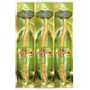 Hometimestore Spazzolino per denti in miswak naturale, privo di componenti chimiche, portatile, per la cura quotidiana di denti e gengive, Menta 3 pezzi