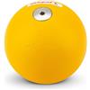 POLANIK Peso per Competizione Acciaio - 4,00 kg - 95 mm Fino a 110 mm