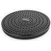 VirtuFit Kern-Twister