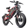 RZOGUWEX Bicicletta elettrica, 20 pollici 160NM Dual Motor Off-Road EBIKE per adulti con batteria agli ioni di litio staccabile da 48 V 30 AH, doppio freno a idraulico