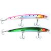 Pescasubito.com Kit 2 Long Jerk Spinning Spigola Serra Barracuda Pesca Mare Esca Artificiale bc