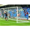 Netsportique Rete da Calcio Regolamentare Match (7,3 x 2,4 x 1,5 m); 3mm