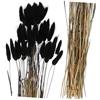 MAGICLULU 60 Pezzi Fiori Secchi Decorativi Coda di Coniglio Nero Versatile Decorazione Floreale Naturale per Matrimoni e Eventi Aziendali