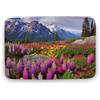 LFDSYEOQ Tappeto lavabile con bellissimi fiori montagna morbido piccolo tappeto antiscivolo per zerbino, pavimento, ingresso, ecc