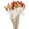 QUARKZMAN 120pz Coda di Coniglio Naturale Fiori Secchi 43cm Mini Erba di Pampa per Decorazioni Floreali Matrimonio Natale, Bianco, Marrone Scuro Rosso, Beige