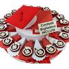Sindy Bomboniere Torta bomboniere laurea calamite quadrifoglio portafortuna + centrale tocco e tesi confetti e biglietti inclusi (20 fette)