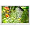 Annadue Cornice Fotografica Digitale HD Wide Screen da 14 Pollici per Uso Domestico, Album Elettronico AC100 a 240V (Bianco)