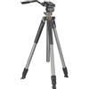 Vanguard Alta Pro 2 263AV treppiede in alluminio con testa video Alta PH-114V