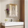 Ztexkee Specchio Bagno Contenitore con Luce e Antiappannamento Armadietto Bagno a Parete con Presa, Supporto per asciugacapelli e 2 Mensola Regolabile, LED Specchio Contenitore Bagno 60x80x15 cm