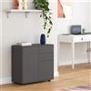 [en.casa] Comò con 2 Ante e 2 Cassetti Credenza con Scomparti Vani Chiusi Mobile Contenitore Multiuso per Camera da Letto Soggiorno 74x79x36 cm - Grigio Scuro Opaco