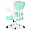 Durrafy Sedia Ufficio Ergonomica con Braccioli Poggiatesta Regolabile Schienale Alto Funzione Dondolo Poltrona Scrivania Girevole in Rete Traspirante con Supporto Lombare (Verde)