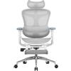 SIHOO DORO-C300L-A3-102-JT Sedia Ufficio Reclinabile Ergonomica, Sedia ergonomica con Schienale Alto con braccioli 4D Regolabili, Rete Confortevole e Ruote Lisce,2 Pacchi Separati (Bianco)