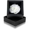 Aluisi Fiori Rosa Stabilizzata Bianca in Cofanetto Nero - Rosa Stabilizzata Vera - Rosa Eterna - Fiore Stabilizzato - Fiori Stabilizzati - Simbolo di Purezza e Nuovi Inizi - Idea Regalo