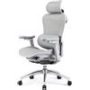 SIHOO Doro C300 Sedia ergonomica ufficio - Braccioli 3D regolabili, Schienale regolabile, Supporto lombare auto-adattivo, Inclinazione regolabile (Grigio)