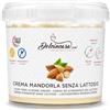 Dolcincasa.com Crema alla Mandorla Senza Latte e Senza Lattosio 500g - Professionale per Pasticceria - Non Cola in Cottura - Senza Glutine - Made in Italy - Dolci in Casa
