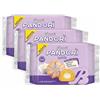 Generico 3X BauIi Pandorì Mini Pandorino con Crema a Latte e Zucchero a Velo 150g