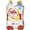 Spa tocco di limone 4x1L