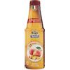 Fabbri Topping Mango Fabbri (fornire codice fiscale)
