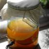Kombuchaorganic Grande (5 litri) certificato biologico da OF&G Kombucha Scoby/Fungo di Kombuchaorganic® kombucha culture, kit di partenza per preparare la tua bevanda Kombucha