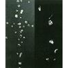 Scalpendi Omar Galliani, Lorenzo Puglisi. Visioni di luce e tenebra. Catalogo della mostra (Milano, 24 maggio-13 giugno 2018)