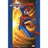 Panini MARVEL OMNIBUS ULTIMATE SPIDER-MAN 2