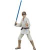 Hasbro Japan Star Wars Episode IV Luke Skywalker Action Figure JAPAN