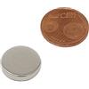 SBS Magnete Al Neodimio 12x2 mm 20 Pezzi Magnete Estremamente Forte