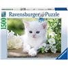 Ravensburger Italy- Puzzle 1500 Pezzi Gatto Bianco Gattino, Multicolore, 16243 7