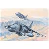 Hobbyboss Hobby Boss 081804 AV-8B Harrier II - Modellino di ferrovia in plastica, 1/18, multicolore