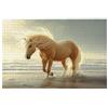 Kinntn Puzzle 1500 Pezzi per Adulti, Puzzle Cavallo in Legno per Adulti, Rompecapo in Legno Impegnativi, Giochi Educativo per Famiglie, Rompecapo con Scatola Regalo per Decorazioni Casa, Regalo Donna, B-8
