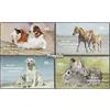 Prophila Collection GermaniaD (Germania.Germania) 2630-2633 (Completa Edizione) MNH ** MNH 2007 Animali (Francobolli per i Collezionisti) Cani/Lupi/iene