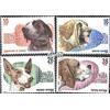 Prophila Collection Spagna 2594-2597 (Completa Edizione) MNH ** MNH 1983 Cane (Francobolli per i Collezionisti) Cani/Lupi/iene