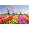 Maimeili Puzzle da 500 Pezzi Gioco di Famiglia Stimolante Arte Vivace con Paesaggi Città Animali Temi Vacanzieri Carta Riciclata Premium Senza Polvere Dimensioni Finali 46x28 cm