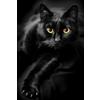 PEKNUX 1000 Pezzi Puzzle Per Adulti Puzzle In Legno Gatto Nero Per Adolescenti E Adulti Ottimo Gioco Educativo