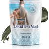 DR.MUD DEAD SEA COSMETICS Dr Mud Dead Sea Mud Mask body and facial from Israel 300gr 10.5 oz