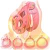 Tambaa Gabbia da allenamento comoda da uomo migliorata con 4 anelli, biancheria intima speciale per adulti da uomo -ITHA16 (Rosa, Nano)