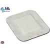 RAYS BIODRESS MEDICAZIONE ADESIVA STERILE IN TNT - 10 X 10 CM (CONF. 50 PZ.)
