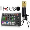 Generico Scheda audio live con effetti mixer DJ e cambio voce, mixer audio F998, scheda audio per live streaming/giochi, mixer musicale DJ (B) Blue