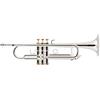 Lechgold TR-18S Tromba Bb argentata - Tromba argentata in Bb - In ottone - Campana Ø: 124 mm - Valvole in acciaio inox - Foratura ML: 11,68 mm - Inclusa custodia leggera