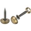 QUARKZMAN 12pz Ottone Decorative Viti con Cappucci 15mm Specchio Viti Coperchio Autofilettanti Viti per Mobili Fissaggio Bronzo