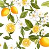 Generico Carta da Parati Autoadesiva Effetto Limone Disegnato A Mano Adesivo Murale in Plastica Impermeabile Frutti Foglie Carta a Contatto da Staccare e Attaccare Rotolo di Pellicola Rimovibile 44x300 cm