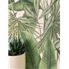 Newroom Carta da Parati TNT Verde Salvia Giungla Palme Cameretta | Sfondo rosa tenue con foglie di palma in stile nordico e struttura lino, motivo floreale, decorazione murale per soggiorno