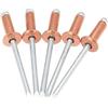 BTBTB Rivetti in rame, rivetti ciechi in rame da 30/50 pezzi, rivetti in acciaio rame bronzo di tipo aperto con testa a cupola(4.0x8 Mm,50Pcs)